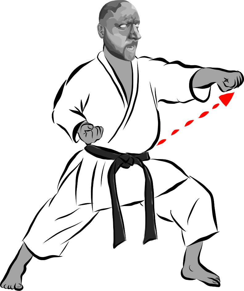 Oi tsuki (Lunging punch)